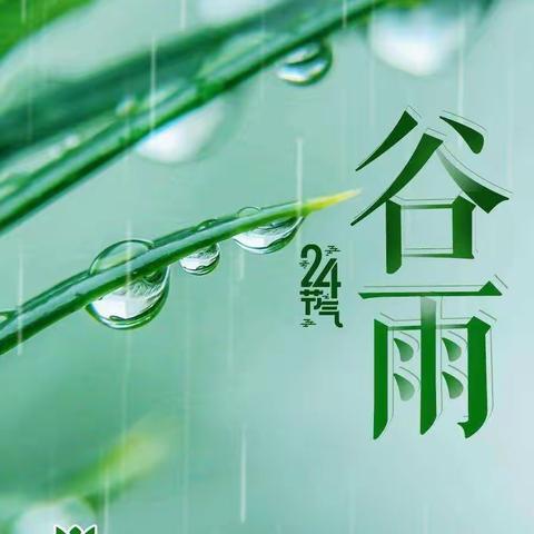 二十四节气之谷雨