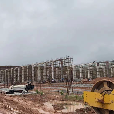 尼葛开发区：橡胶加工产业“逆势而上”，实现稳中集聚