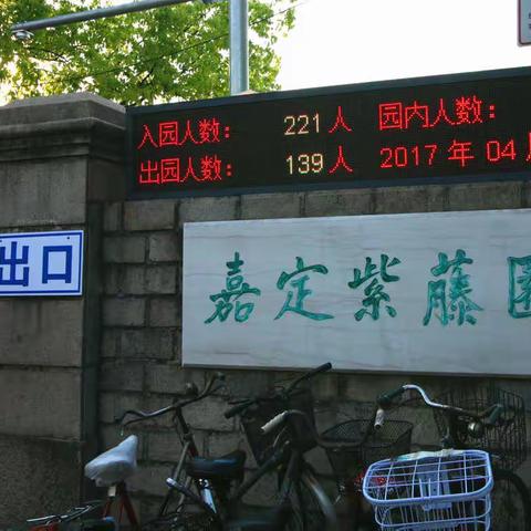 紫衣绿裙  婉约可人——观嘉定紫藤  07年