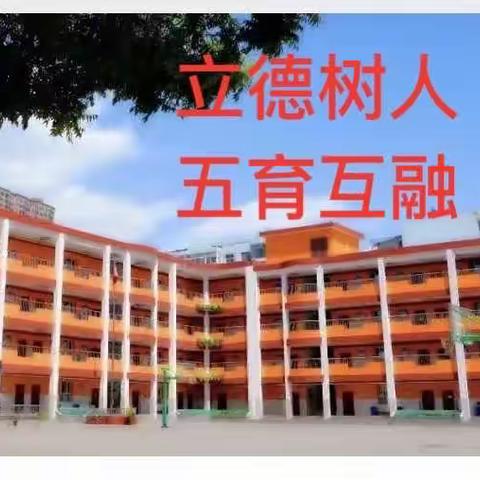 停课不停学 居家共战疫——平潭街小学 六（3）班