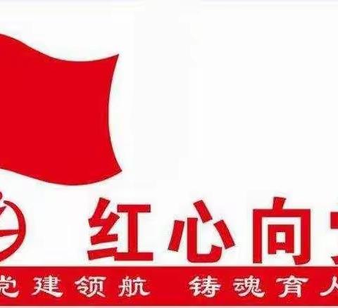 【不忘初心、牢记使命 】 “党建引领——提升家长满意度”罗庄小学党支部主题党日活动