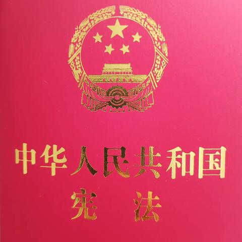 🌻的美篇