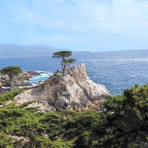 2023年6月14日抵达美西海滨城市—Monterey海灣