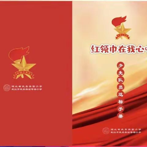 202中队少先队入队仪式