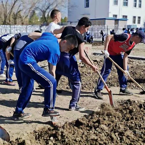 庆建党百年·赞劳动之美