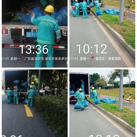 香蜜湖2021年11月1日工作小结—绿雅生态