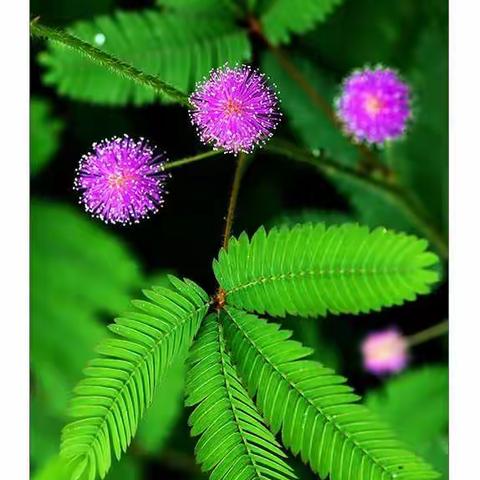 一次有趣的发现