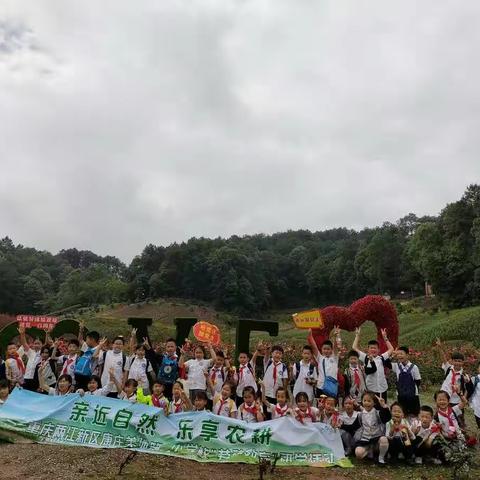 “爱绿护绿为党献礼，争做新时代好少年”两江新区康庄美地第二小学，二年级五班赴南湖多彩植物园研学实践活动