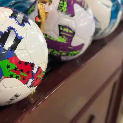 扎龙中心学校“海东青”杯校园足球春季四级联赛胜利闭幕！