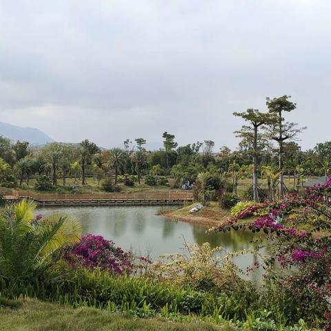 滇南印记—记忆里的启园