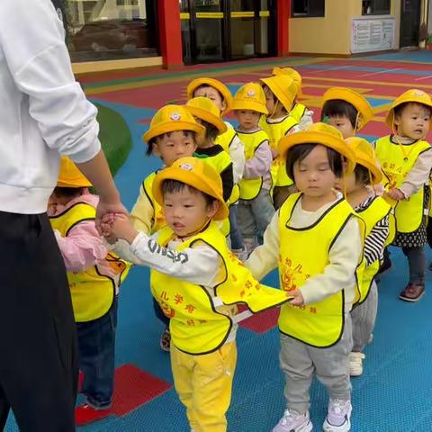 “拾落叶🍂，感受自然”