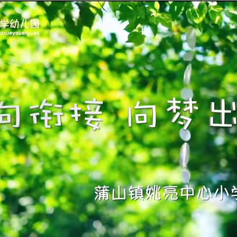 【幼小衔接，我们在行动】蒲山镇姚亮中心小学幼儿园：双向衔接，向梦出发