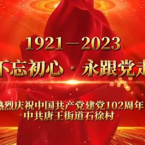 中共唐王街道石徐村党支部庆祝中国共产党成立102周年