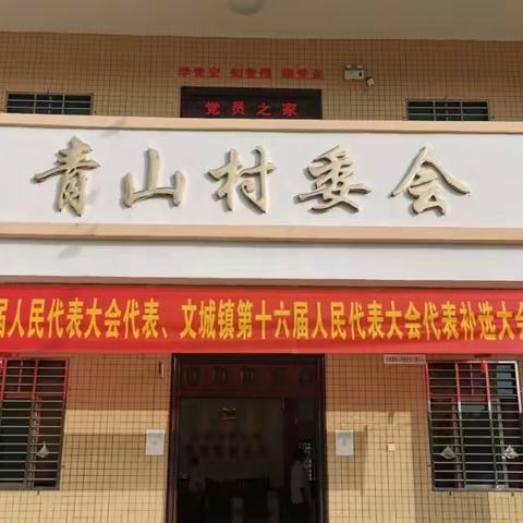 青山村委会圆满完成市第十五届人大代表和镇第十六届人大代表补选工作
