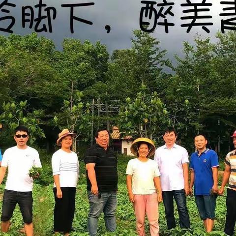 青山村委会发展集体经济，助力乡村振兴