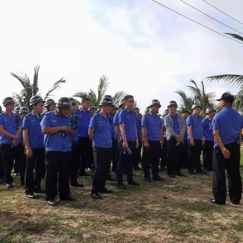 文昌市综合行政执法局依法组织清理违建建筑垃圾工作