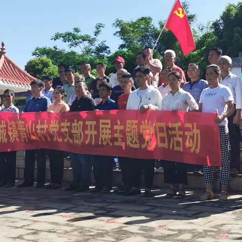 文城镇青山村党支部开展“学好百年党史 助推乡村振兴”党史学习教育主题党日活动