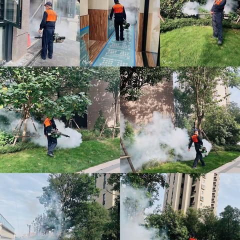 招商·雍和府2022年6月工作汇报