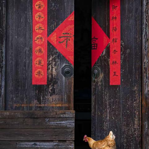 苏州市老干部摄影协会         《每月精彩集锦》第十期