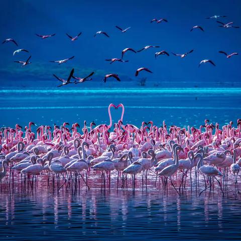 苏州市老干部摄影协会         《每月精彩集锦》第八期