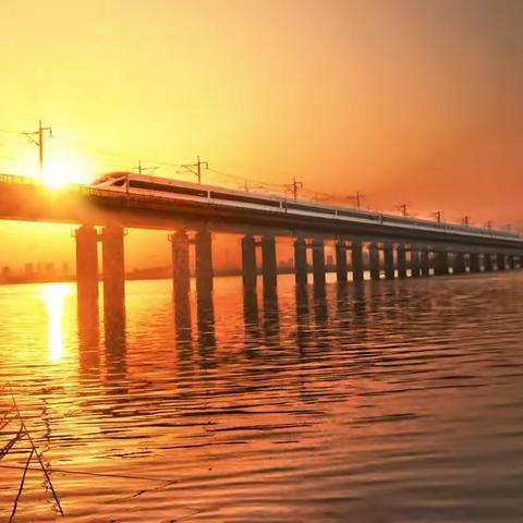 苏州市老干部摄影协会《每月精彩集锦》第十三期