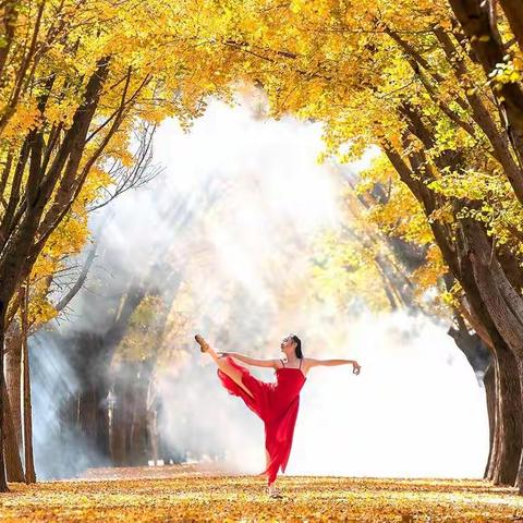 苏州市老干部摄影协会         《每月精彩集锦》第九期