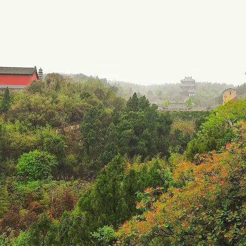 《点亮心灯，一路无恙》一一一月山寺掠影