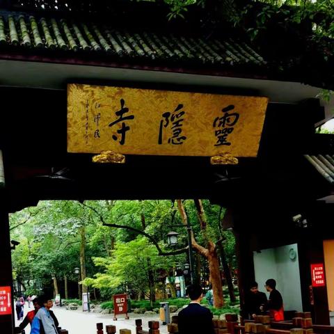 《放飞心情山乡游》