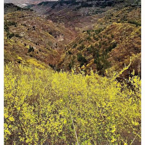 《删繁就简        品味心情》