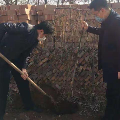 疫情防控，义务植树，两手抓，两不误