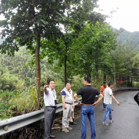 应对山火出新招 林区建起消防池