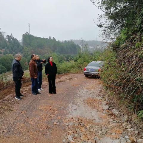 建设联网快速路，打造长山精品线，助力婺城金茶花。