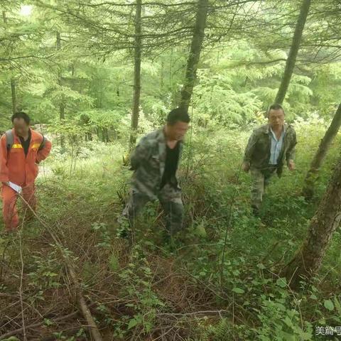 万家大梁管护站参加长坝林场组织的搜山踏查禁毒工作