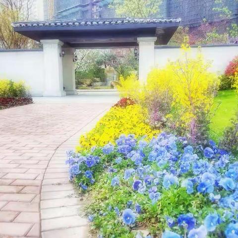 喜欢春天的细语（雨）