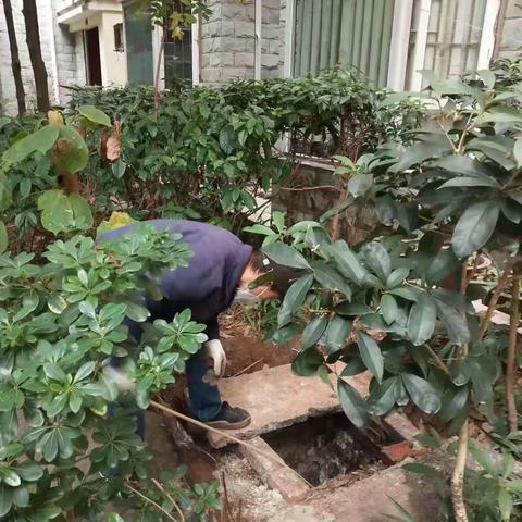 龙发物业香草山11月26日至12月2日防疫周报