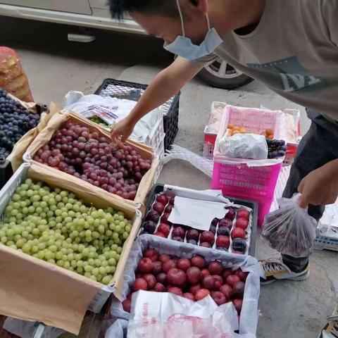 【食品药品监督室】2022年7月14日工作日报：