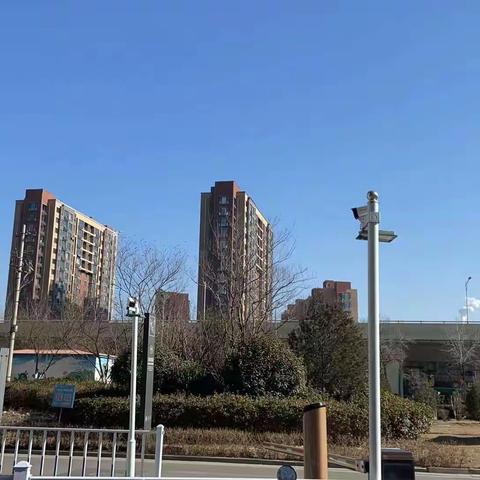 灯光污染扰生活，热线协调来调整