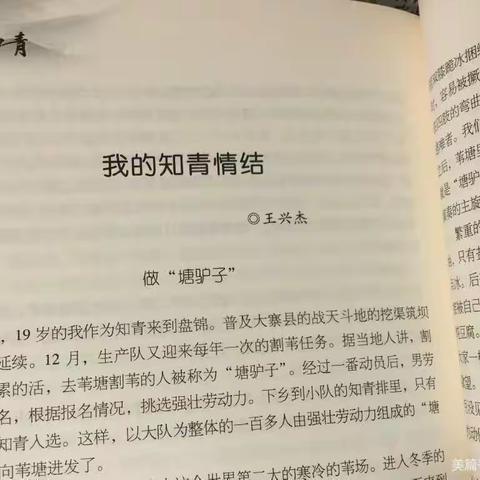 怀疑与再教育