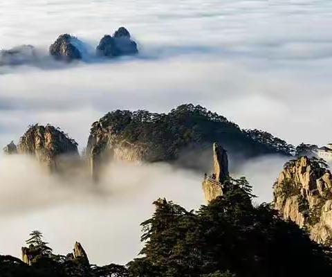 松石奇绝一日游  黄山归来梦再来   黄山游之五