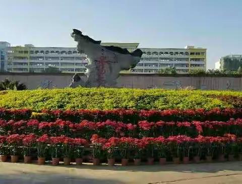 青春无敌，魅力人生。——江南中学1816班军训风采。