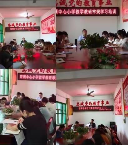 学常规，促教学——碧洲小学教学常规学习活动纪要