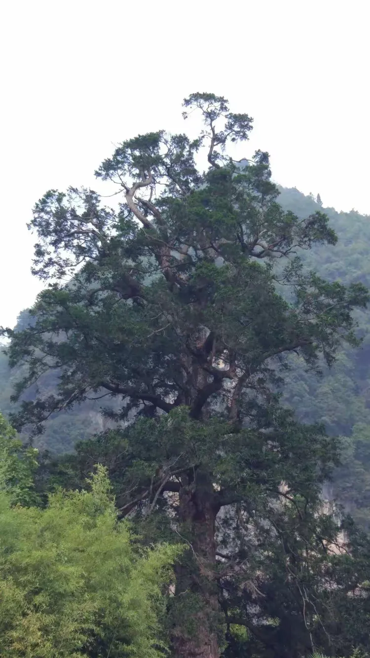 2018年9月13-17日神农架