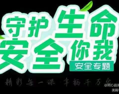 民警进校园，安全长相伴——辛庄镇水利希望小学