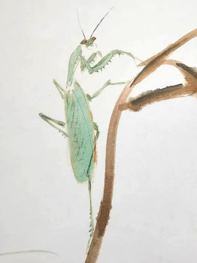 螳螂的画法 王雪涛画螳螂•神勇无比 孙铭•编制