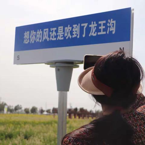 【聚焦龙王沟】花海盛会！龙王沟油菜花乡村旅游节“节目单”抢先看！