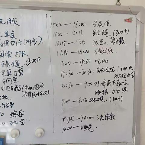 我的假期——阿左旗第二实验小学二年级四班洪英杰