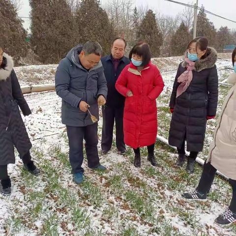 技术服务到田间，科技壮苗显成效