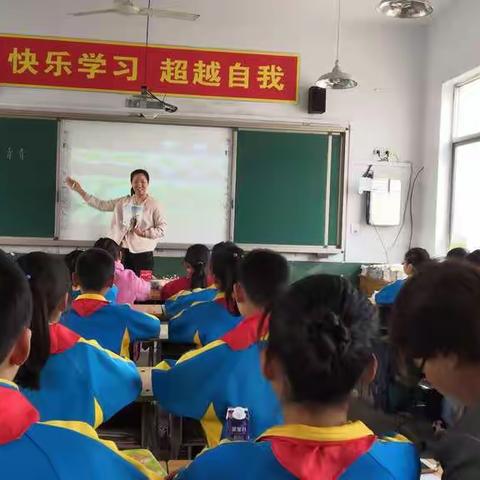 梧桐细雨的美篇