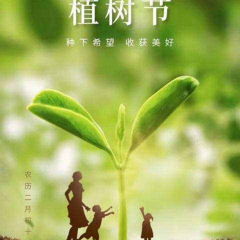 拥抱春天 呵护绿色”——北大英迪幼儿园植树节