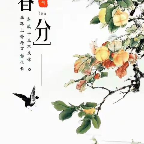 今日春分——桃花灼灼，杨柳青青——平和思源实验学校小学部英语组